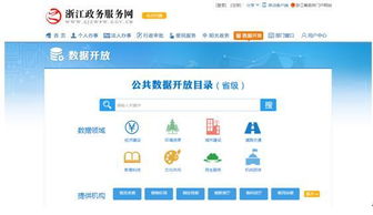 政務服務數(shù)字化轉(zhuǎn)型 浙江如何搶占互聯(lián)網(wǎng)風口先機